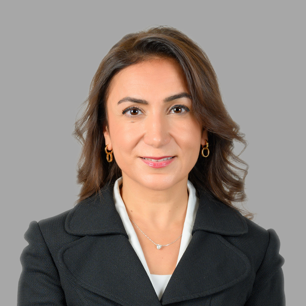 مجلس الإدارة
