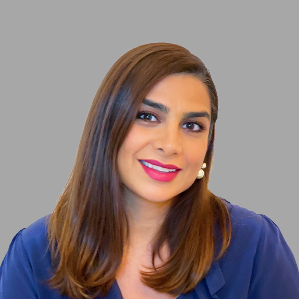 مجلس الإدارة