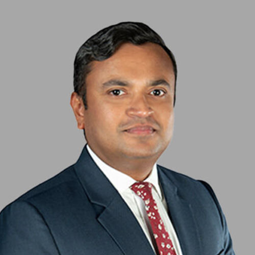 Management Team