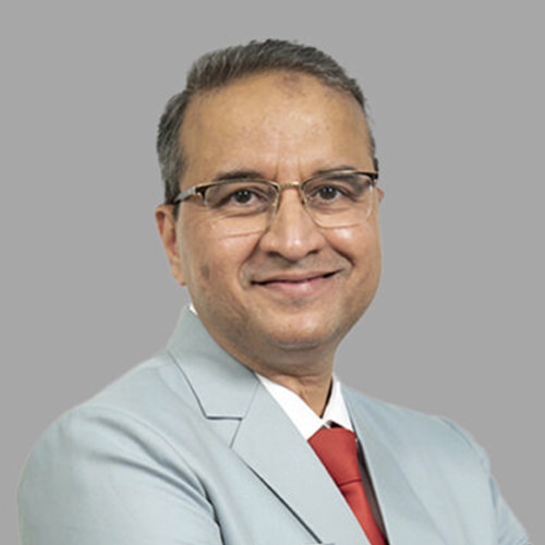 Management Team